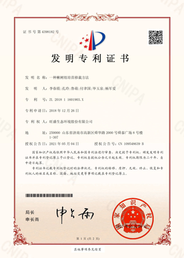 一種楸樹組培苗移載方法